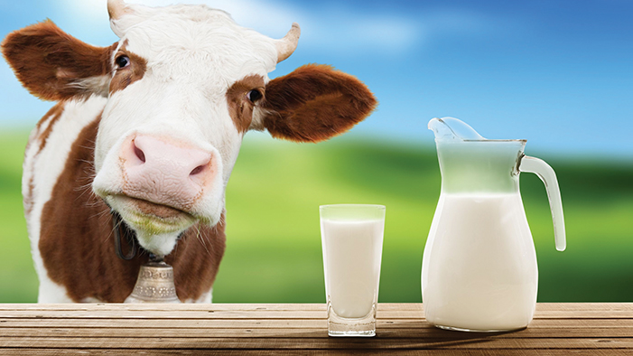 1587455293cow-s-milk-1.jpg