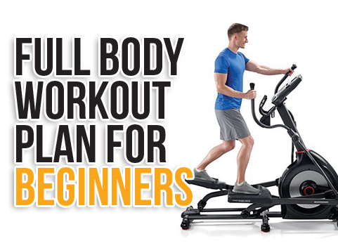Full Body Workout Plan for Beginners