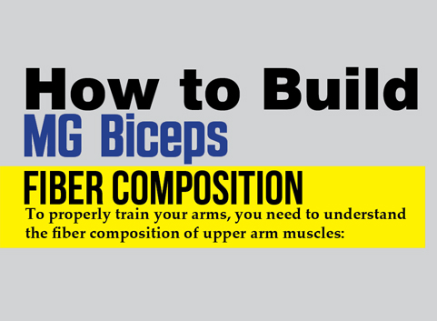 How to Build MG  Biceps
